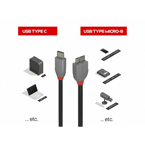 Cable Lindy USB 3.2 Tipo C a Micro-B, Línea Anthra, 3m 36623