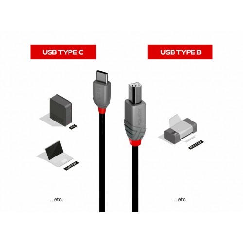 Cable Lindy USB 2.0 Tipo C a B, línea Anthra, 0.5m 36940