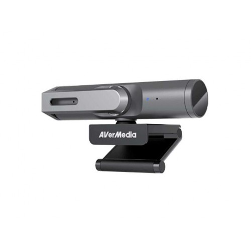 Webcam AverMedia PW515 (1)