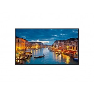 MONITOR PANASONIC 55" UHD 400CD TH-55CQ1W