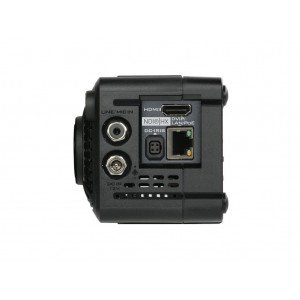 Cámara POVCAM 4K NDI-HX2 sin Optica Datavideo BC-15CN 2