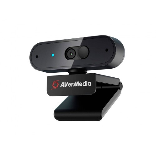 Webcam AverMedia PW310p